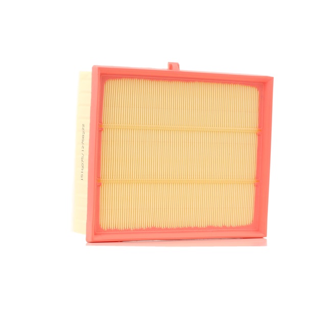 RIDEX 8A0661: Luftfilter mit Vorfilter