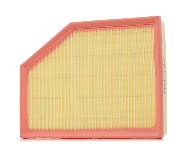 RIDEX 8A0669: Luftfilter
