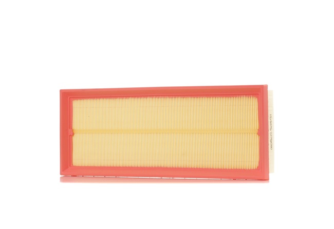 RIDEX 8A0689: Gaisa filtrs