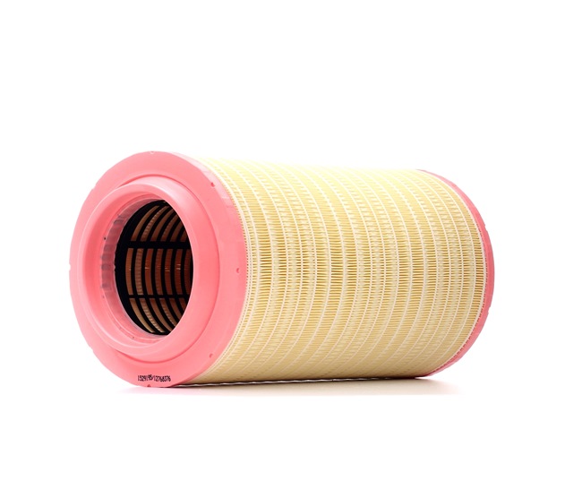 RIDEX 8A0732: Filtro aria