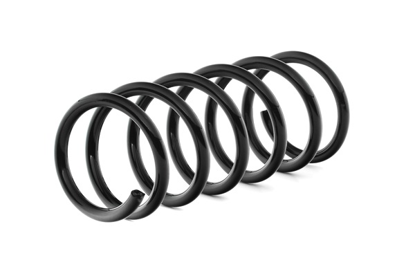 SACHS 994 812: Chassisveer