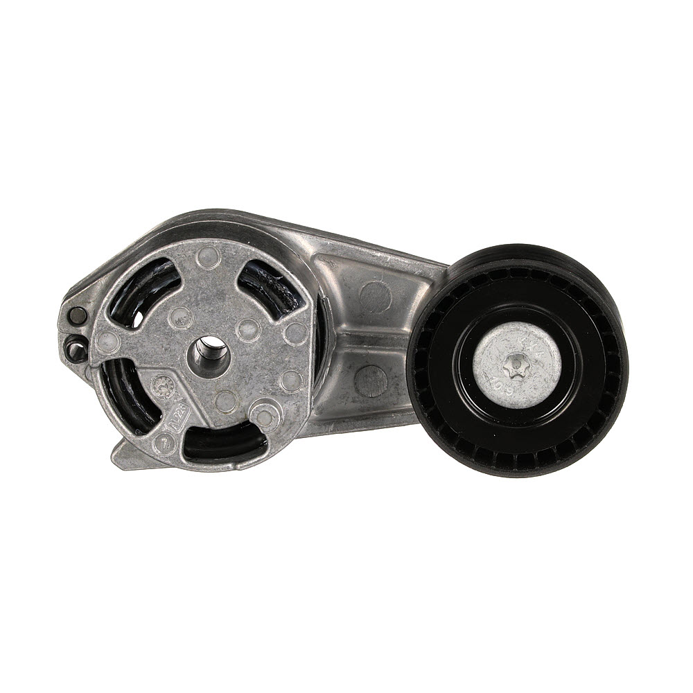 GATES T39399: Rola intinzator, curea transmisie Ř: 55mm, Ř: 55mm FleetRunner™ Micro-V® Kit