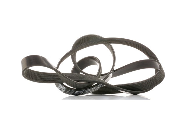 DAYCO 6PK1663S Multiriem BMW 5 Touring (F11) 150 Pk Diesel kosten