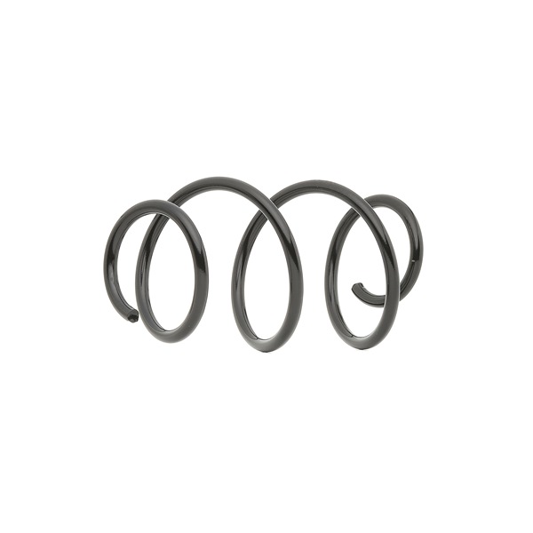 KYB RA4119: Arc spiral K-Flex punte fata K-Flex