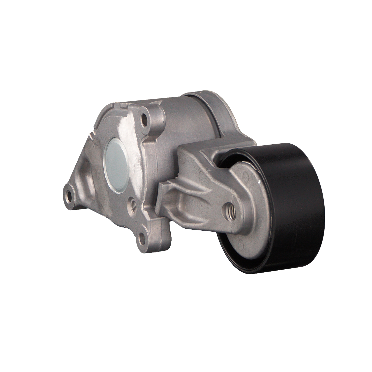 FEBI BILSTEIN 102165: Intinzator curea, curea distributie