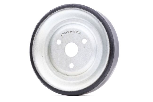 FEBI BILSTEIN 102466: Remskiva, vattenpump febi Plus
