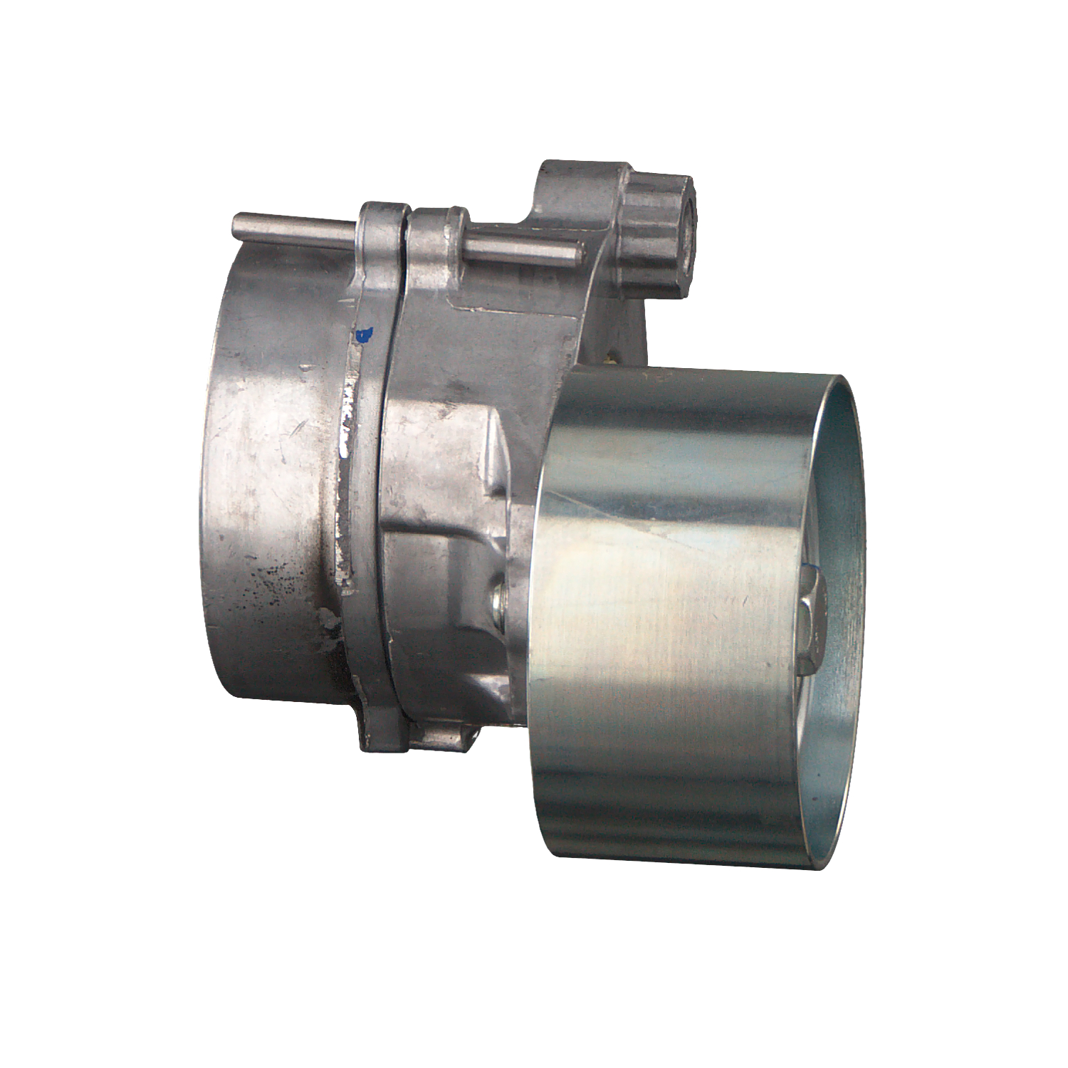 FEBI BILSTEIN 102639: Intinzator curea, curea distributie