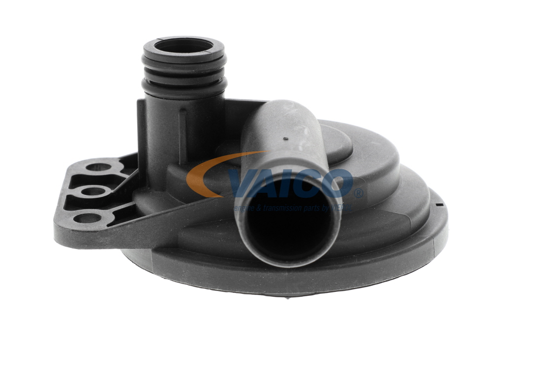 VAICO V48-0248 Klep, ontluchting nokkenasbehuizing LAND ROVER Range Rover 3 (L322) 396 Pk Benzine kosten