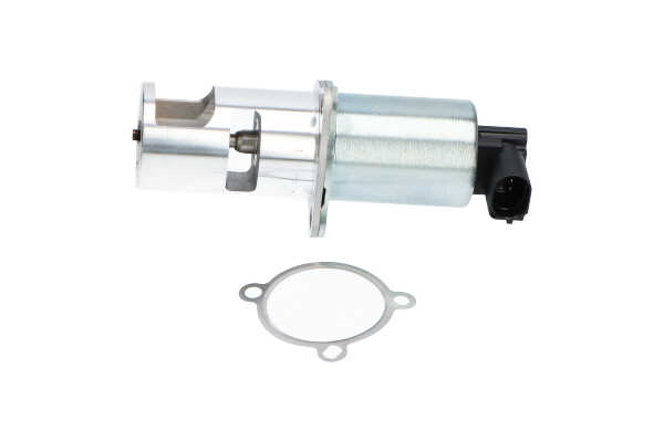 KAVO PARTS EEG-5510: AGR-Ventil mit Dichtung