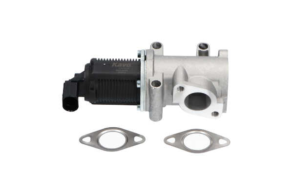 KAVO PARTS EEG-8502: AGR-Ventil mit Dichtung