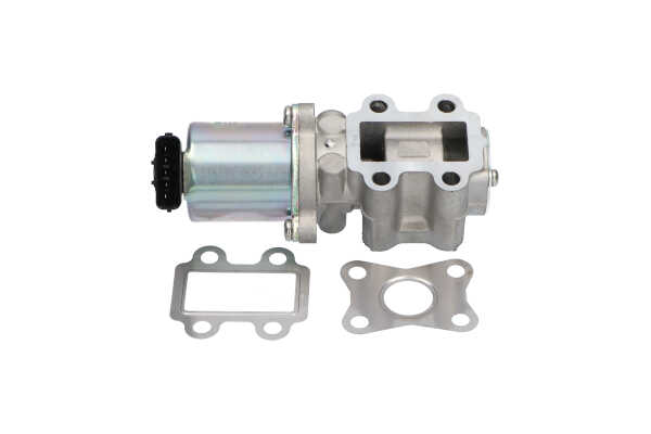 KAVO PARTS EEG-9018: Válvula EGR sin juntas