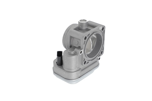 TOPRAN 117 309: Clapetă de accelerație ECU/software-ul trebuie actualizat/updatat