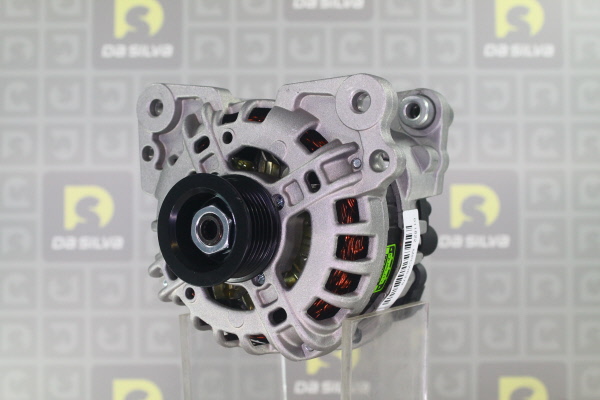 DA SILVA 011822: Lichtmaschine 110A