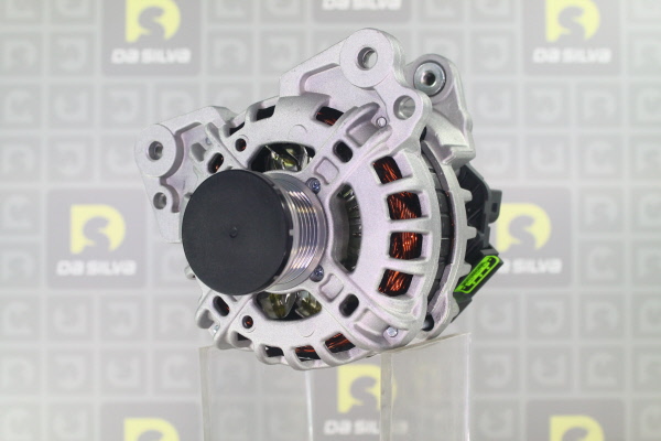 DA SILVA 011824: Alternator 110A