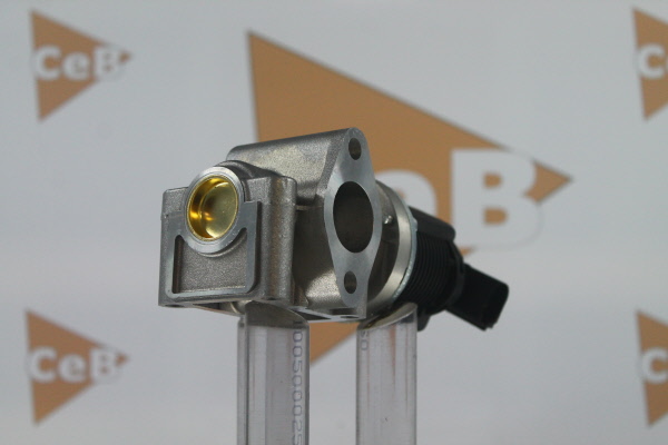 DA SILVA GR6012: AGR-Ventil