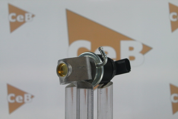 DA SILVA GR6025: Válvula EGR