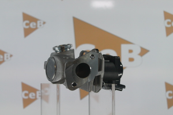 DA SILVA GR6033: Válvula EGR