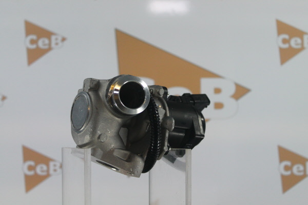 DA SILVA GR6034: Válvula EGR