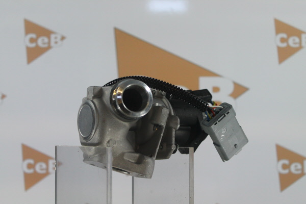DA SILVA GR6035: AGR - Ventil