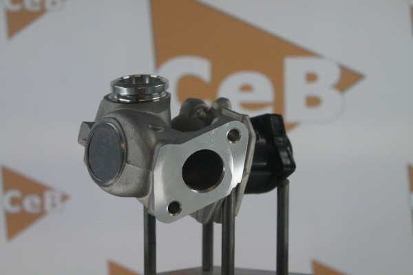 DA SILVA GR6036: AGR - Ventil
