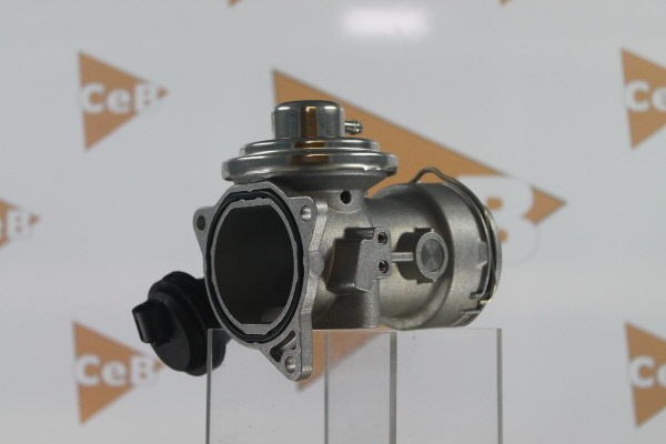 DA SILVA GR6045: AGR-Ventil