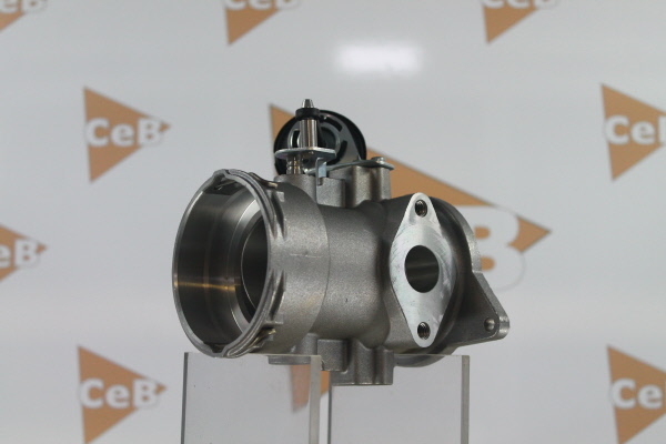 DA SILVA GR6047: AGR-Ventil