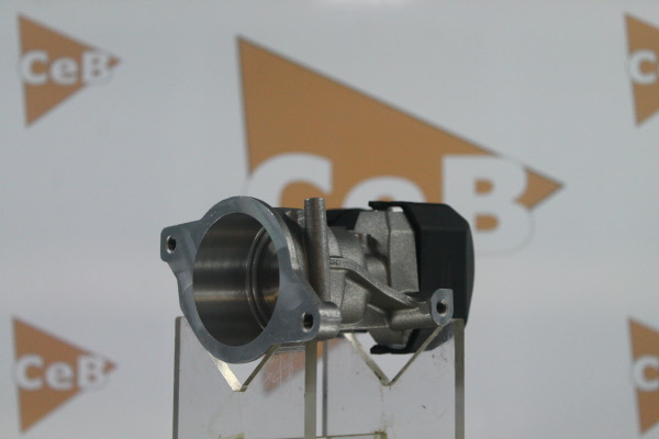 DA SILVA GR6064: Válvula EGR
