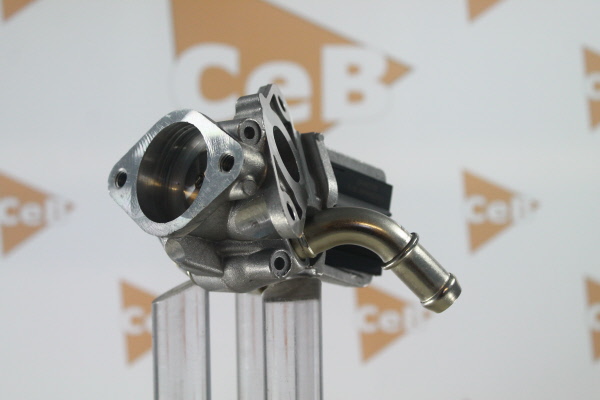 DA SILVA GR6070: AGR-Ventil