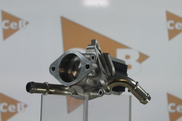 DA SILVA GR6071: AGR-Ventil