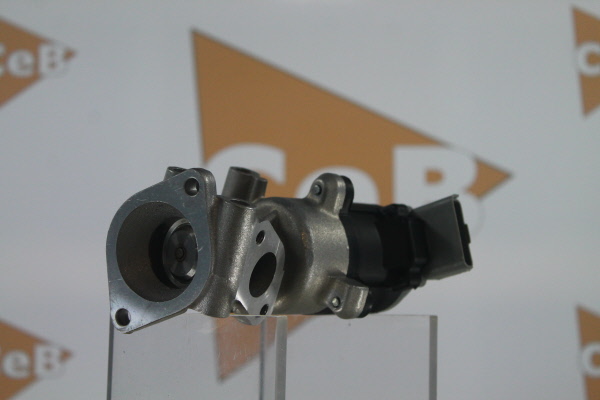 DA SILVA GR6073: AGR-Ventil