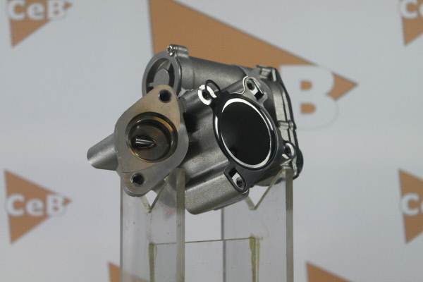 DA SILVA GR6076: Válvula EGR