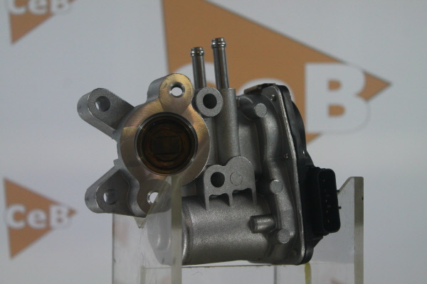 DA SILVA GR6080: Válvula EGR