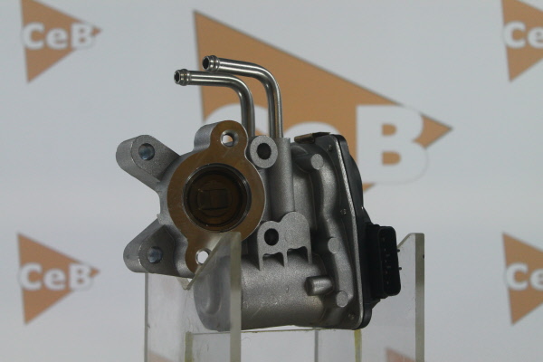 DA SILVA GR6081: AGR-Ventil ohne AGR-Kühler