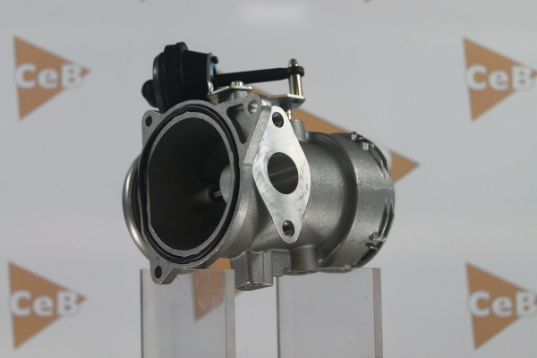 DA SILVA GR6082: AGR-Ventil