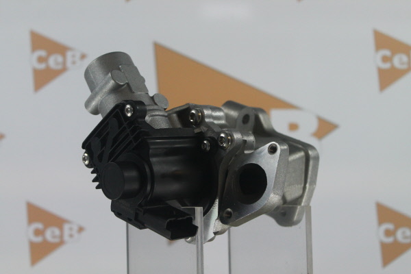 DA SILVA GR6084: AGR-szelep