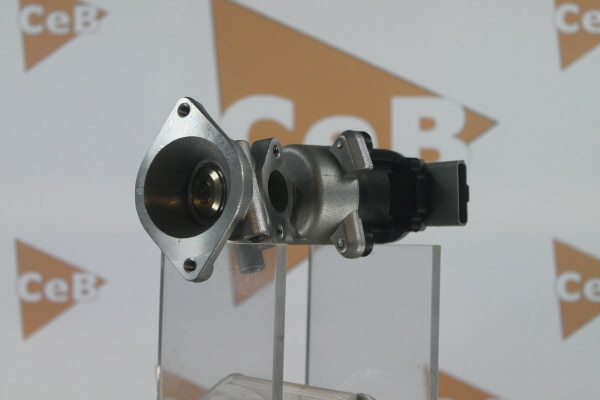 DA SILVA GR6086: AGR-Ventil