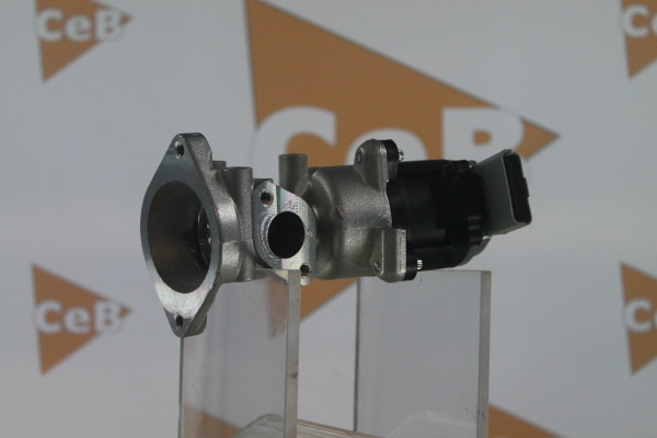 DA SILVA GR6087: AGR-Ventil