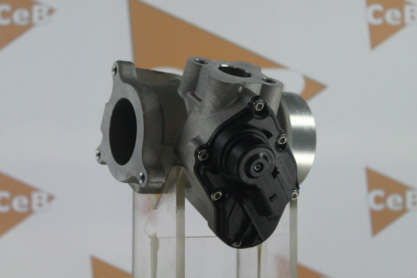 DA SILVA GR6088: Válvula EGR