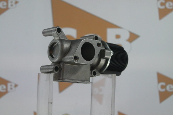 DA SILVA GR6090: AGR-Ventil