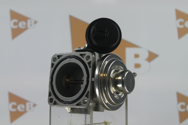 DA SILVA GR6092: AGR-Ventil