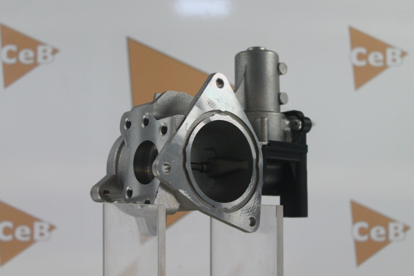 DA SILVA GR6094: AGR - Ventil