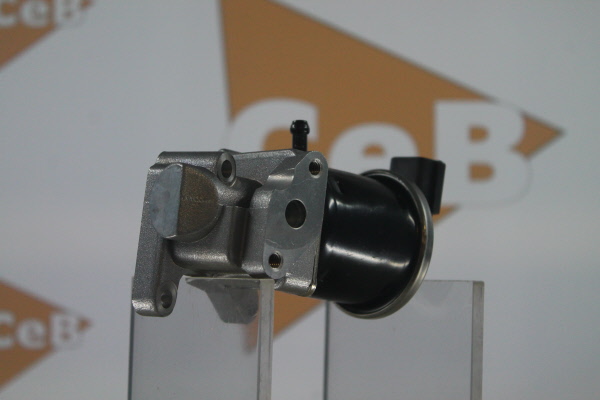 DA SILVA GR6110: AGR-Ventil
