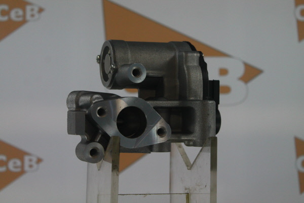 DA SILVA GR6112: Valvola EGR