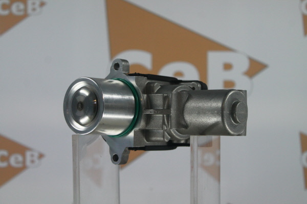 DA SILVA GR6116: AGR-Ventil