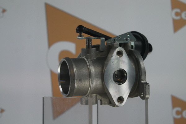 DA SILVA GR6117: AGR-Ventil