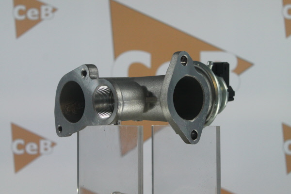 DA SILVA GR6118: AGR-Ventil
