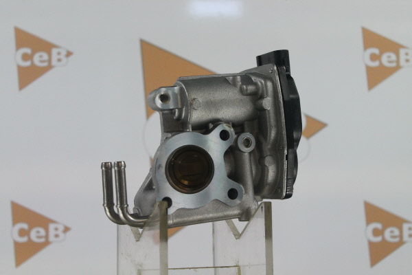 DA SILVA GR6120: AGR-Ventil