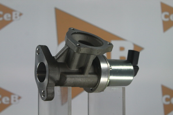 DA SILVA GR6121: AGR-Ventil