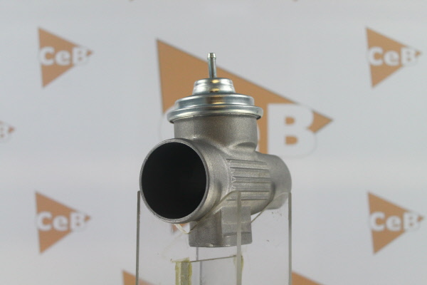 DA SILVA GR6132: AGR-Ventil