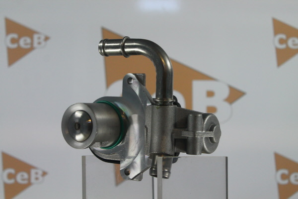 DA SILVA GR6135: AGR-Ventil